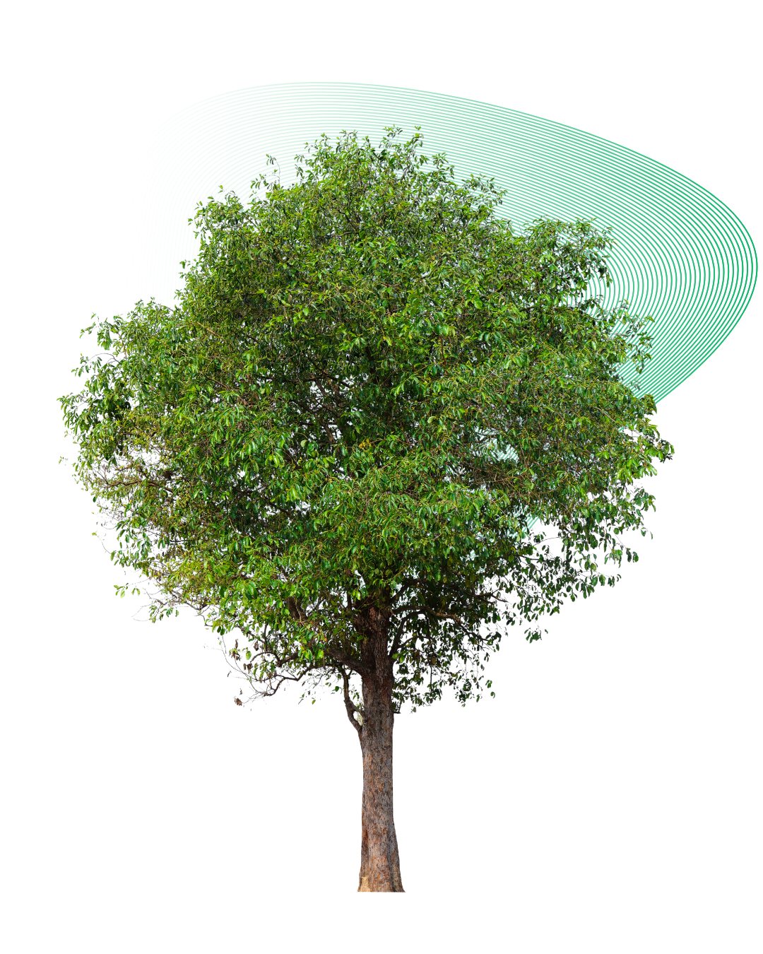 Sustainability and technology visualization